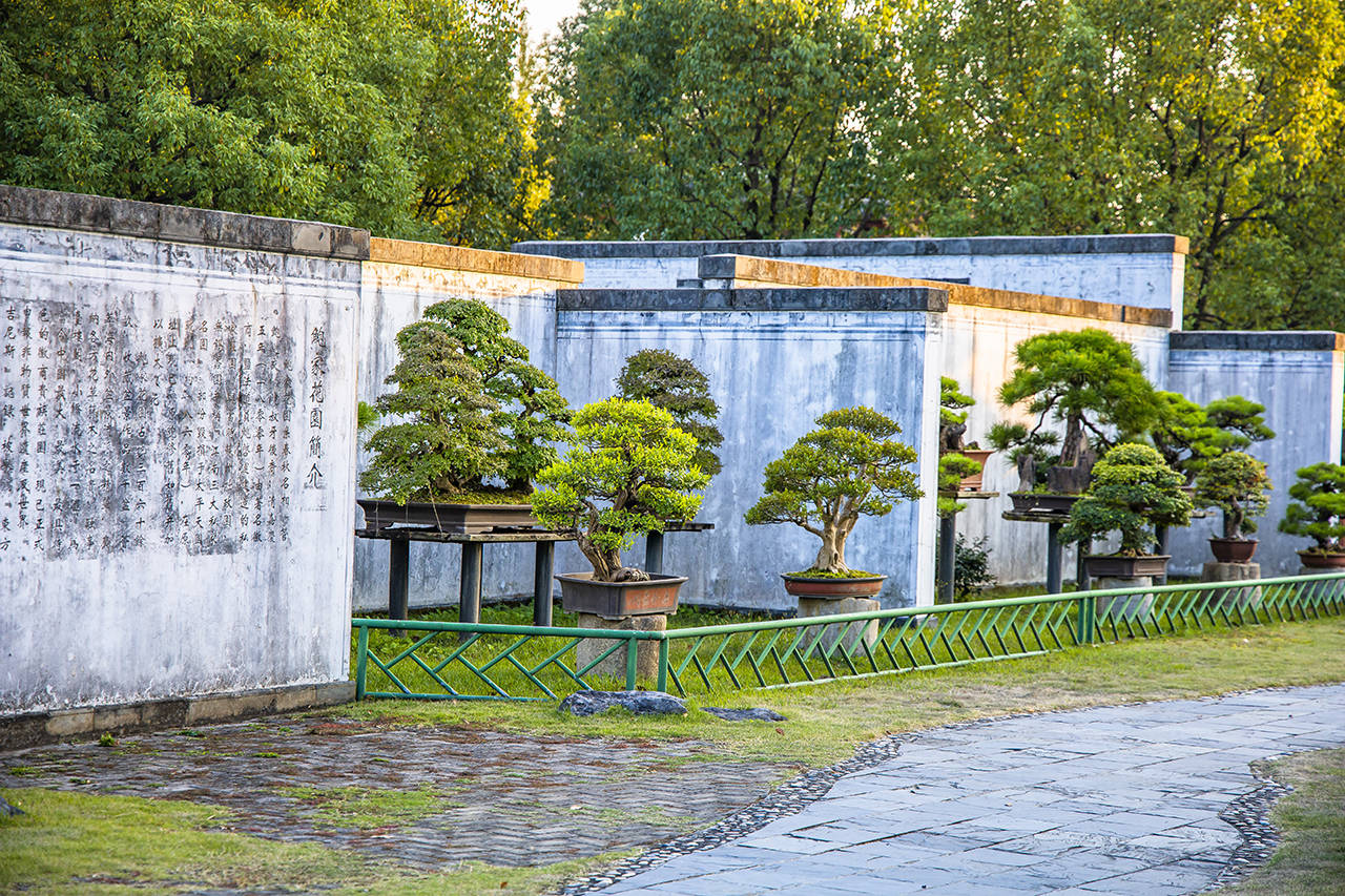 盆景|鲍家花园，中国最大的私家园林盆景观赏地