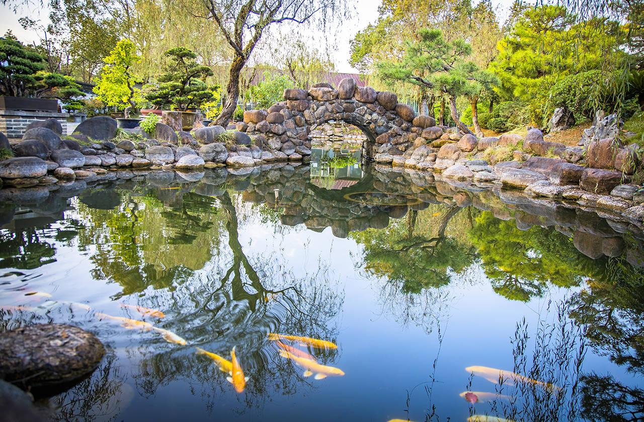 盆景|鲍家花园，中国最大的私家园林盆景观赏地