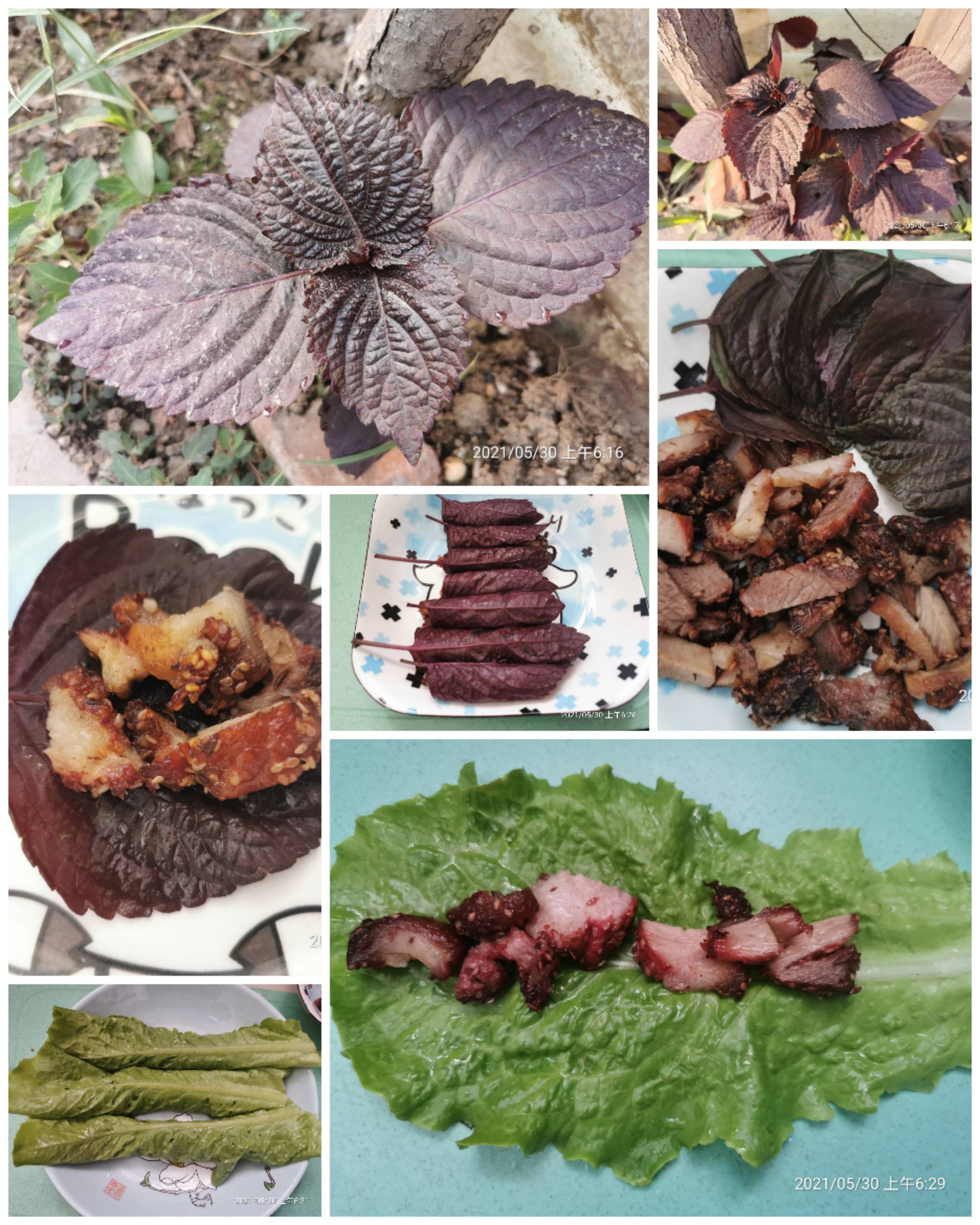 集锦|可以直接照抄，一位高三妈妈给孩子的爱心早餐，每天不重样，美味又营养