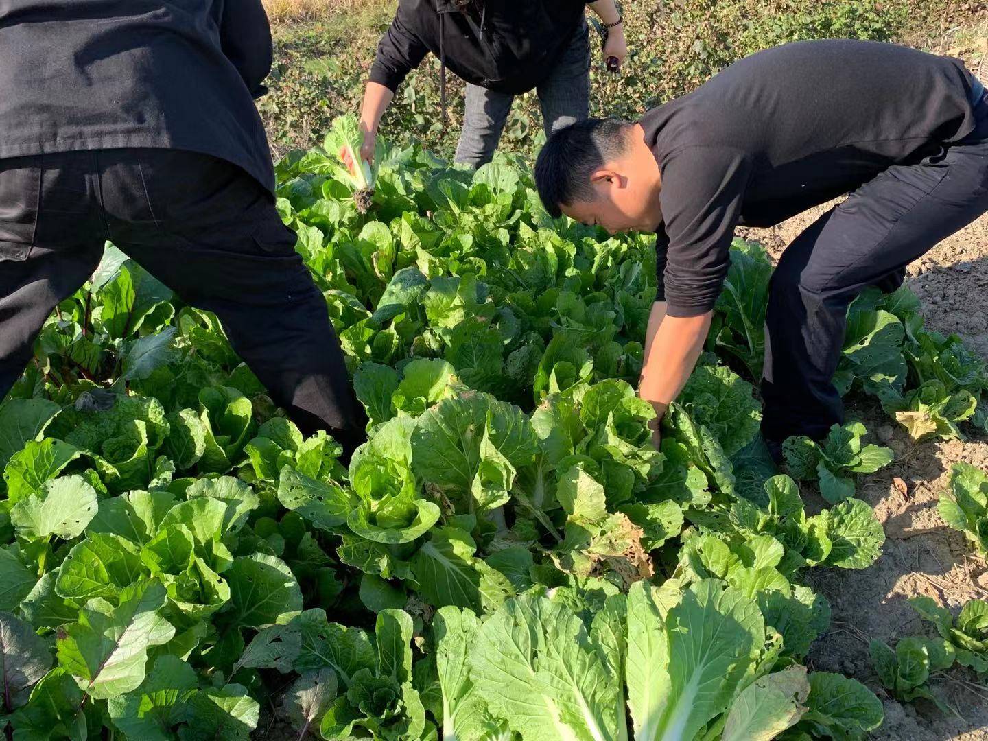 凝心小菜园警营添活力 天门