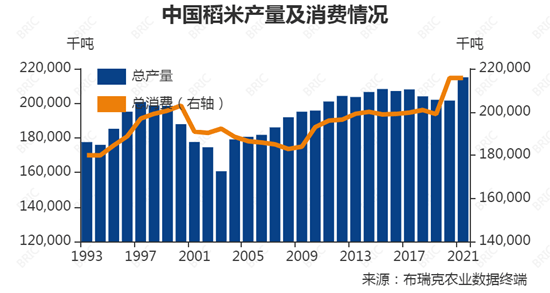 中國稻米產量及消費情況