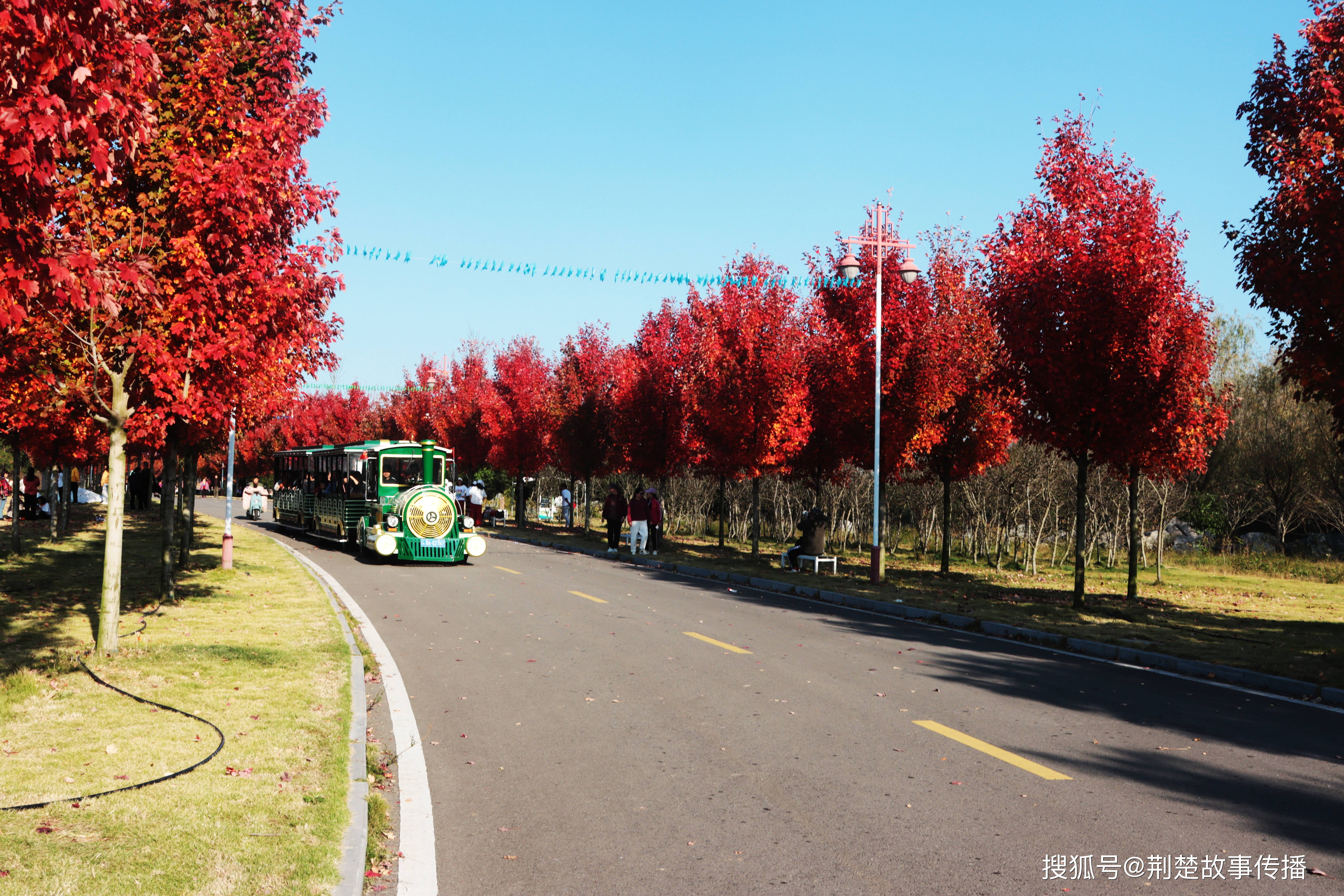 枝江市周边旅游景点图片