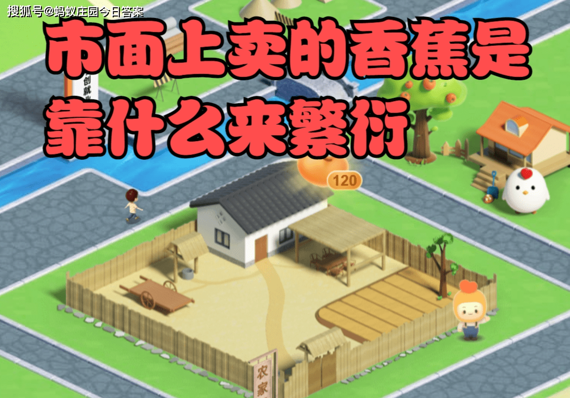 原创市面上卖的香蕉是靠什么来繁衍 蚂蚁新村11月23日答案：无性繁殖