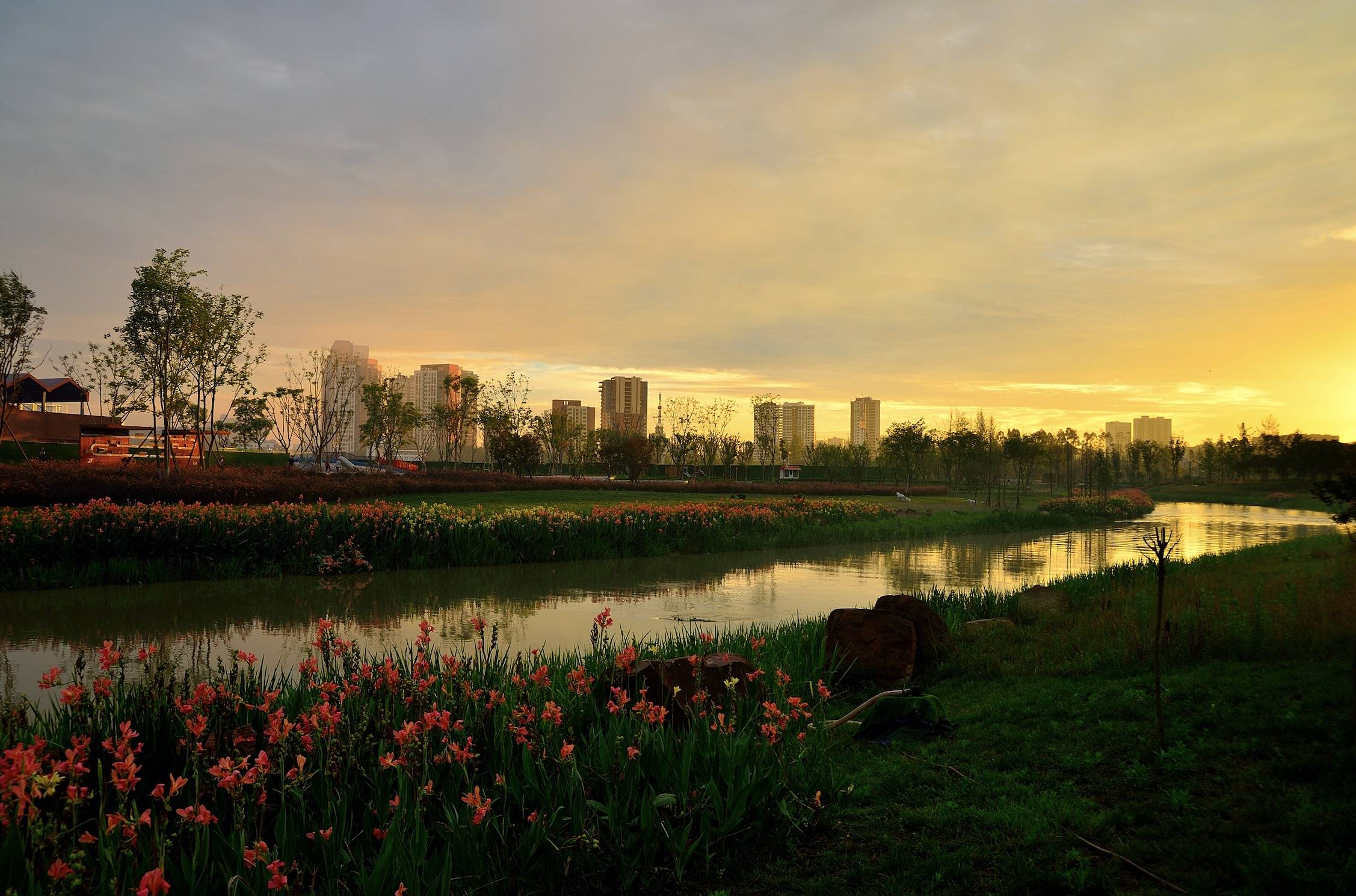 成都青白江的河湖治理,等你来感受_青白江区_路社区_公园