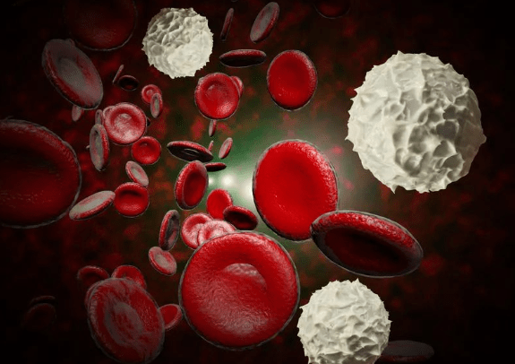 如何获得移植用的造血干细胞?适用哪些患者?