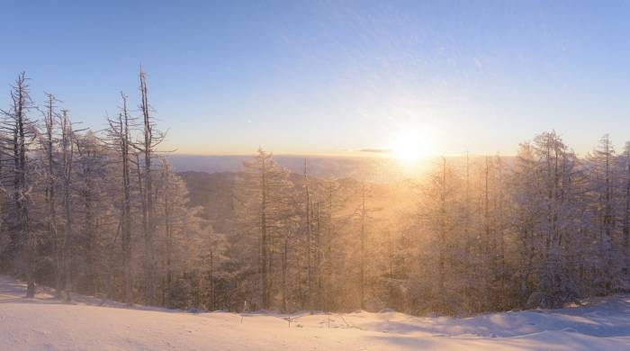 冰箱到洗衣机的高端消费市场，成功引爆背后有一个共同点-家电圈官网
