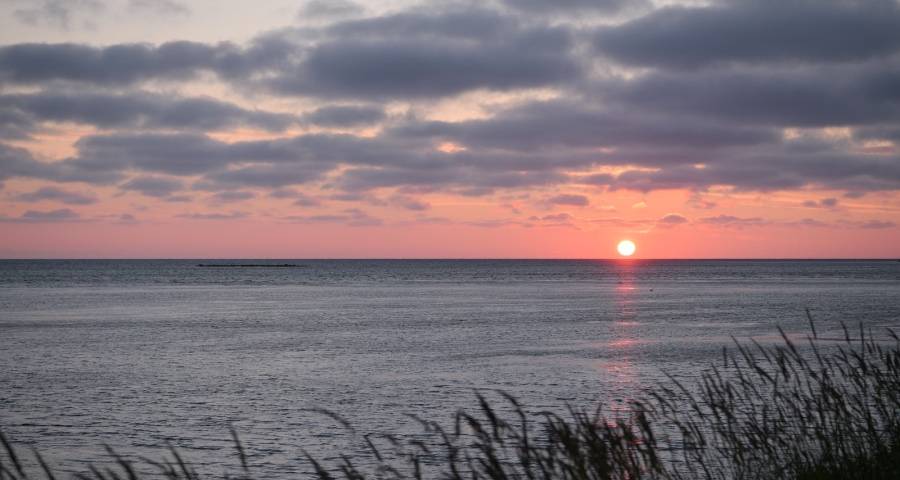 涨价缺货正成为家电业循环挑战-家电圈官网