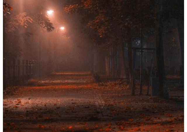 不顾后果的人 9878a83bf08540169646220073a50e6b.png