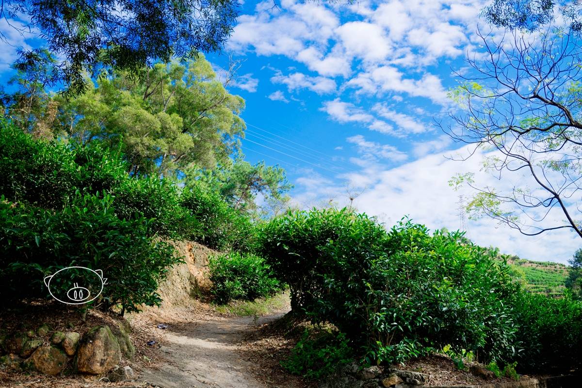 凤凰山|潮州｜潮汕地区的革命核心，凤凰山革命根据地