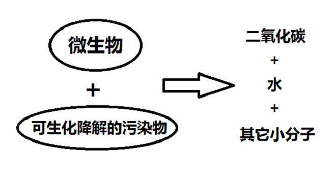 溫度和ph值的影響最明顯,它對水中重金屬離子的化學狀態和生物活性