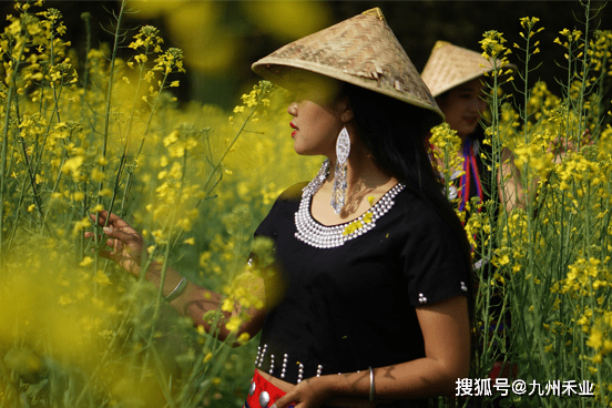 茶叶|【茶园认养】您的私家茶园|认养健康|私享自然|原生态茶园