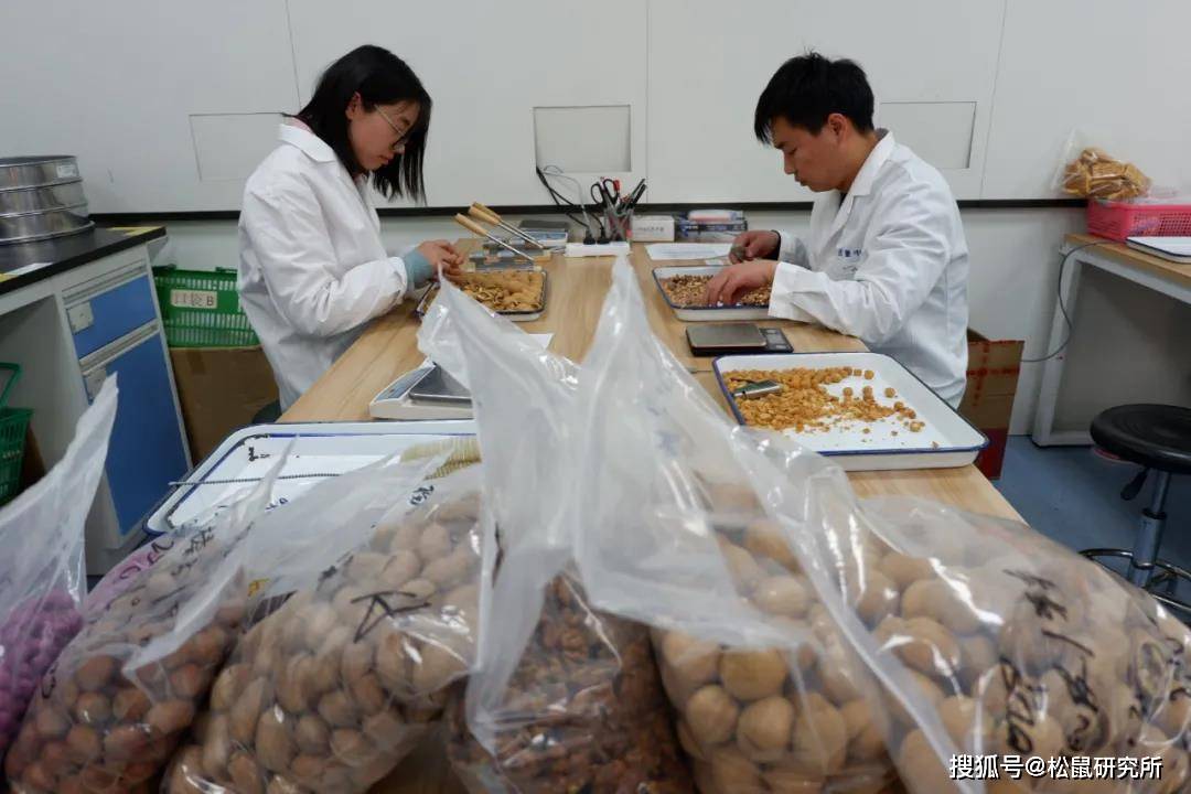 谁在守住三只松鼠坚果质量的第一道关卡?_检测_进行_产品