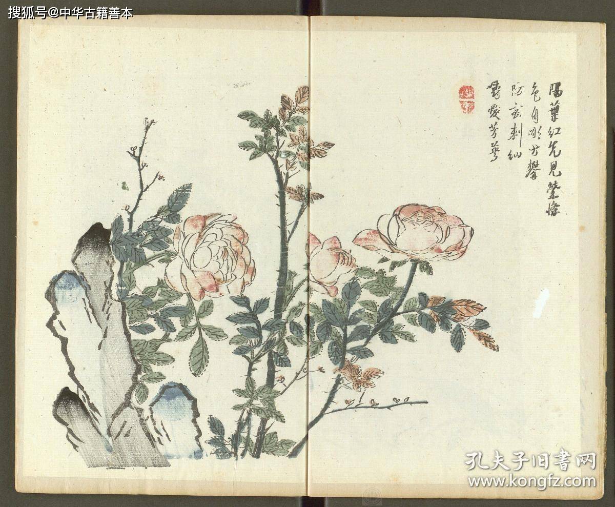 套印本|明崇祯六年彩色套印本《十竹斋书画谱》：《芥子园画传》的灵感来源