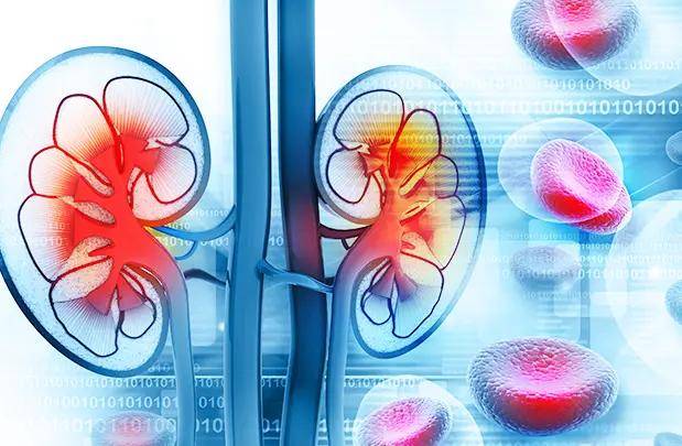 动静脉|肾病科李建军医师：尿毒症是肾衰竭不治的后果