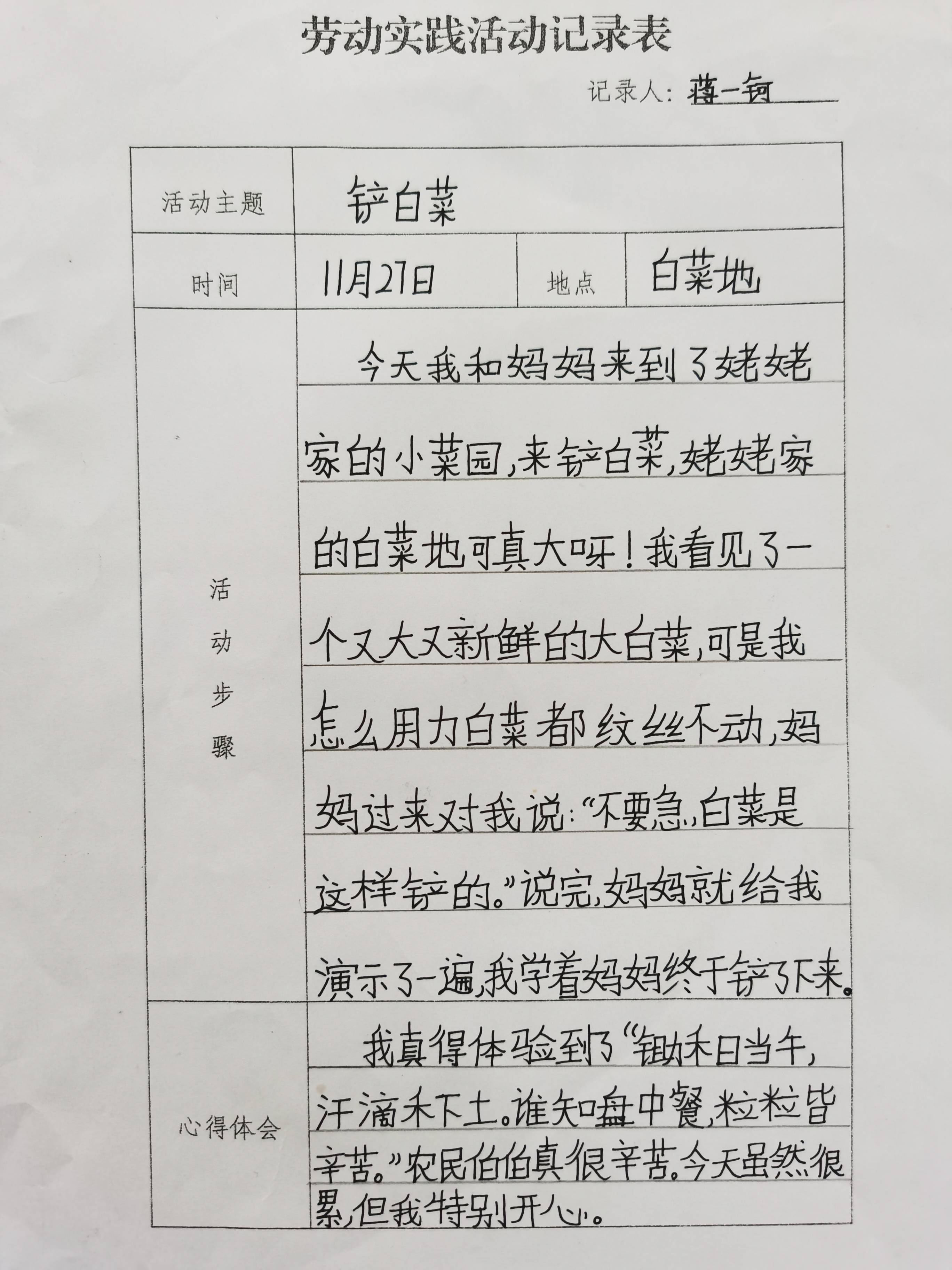 小学生劳动内容怎么写图片