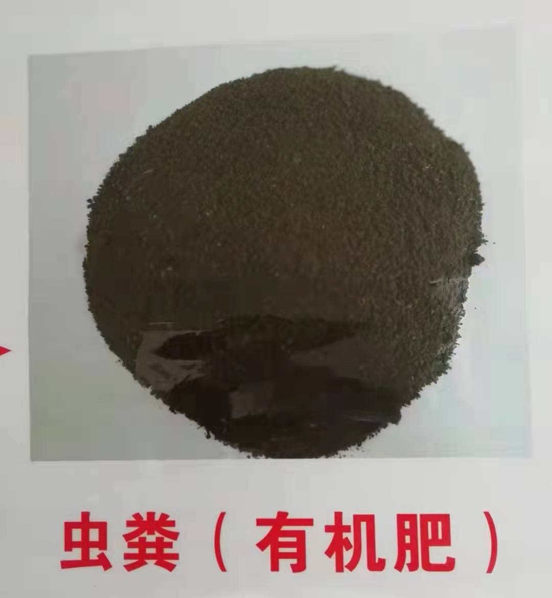 黑水虻吃掉餐厨垃圾预处理后产生的有机土转化黑水虻粪便,是优质的有