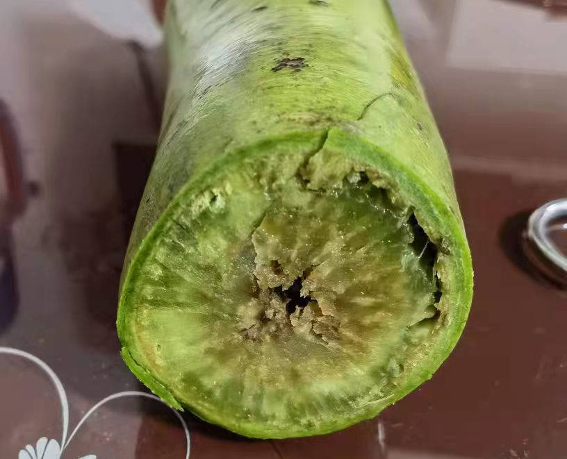 萝卜糠了还能不能吃对身体有无危害为了家人健康别再吃错了