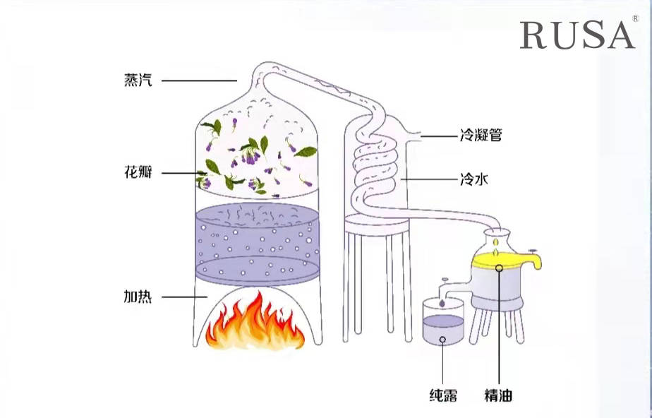 水蒸汽蒸馏法是市面上最常用的精油萃取工艺