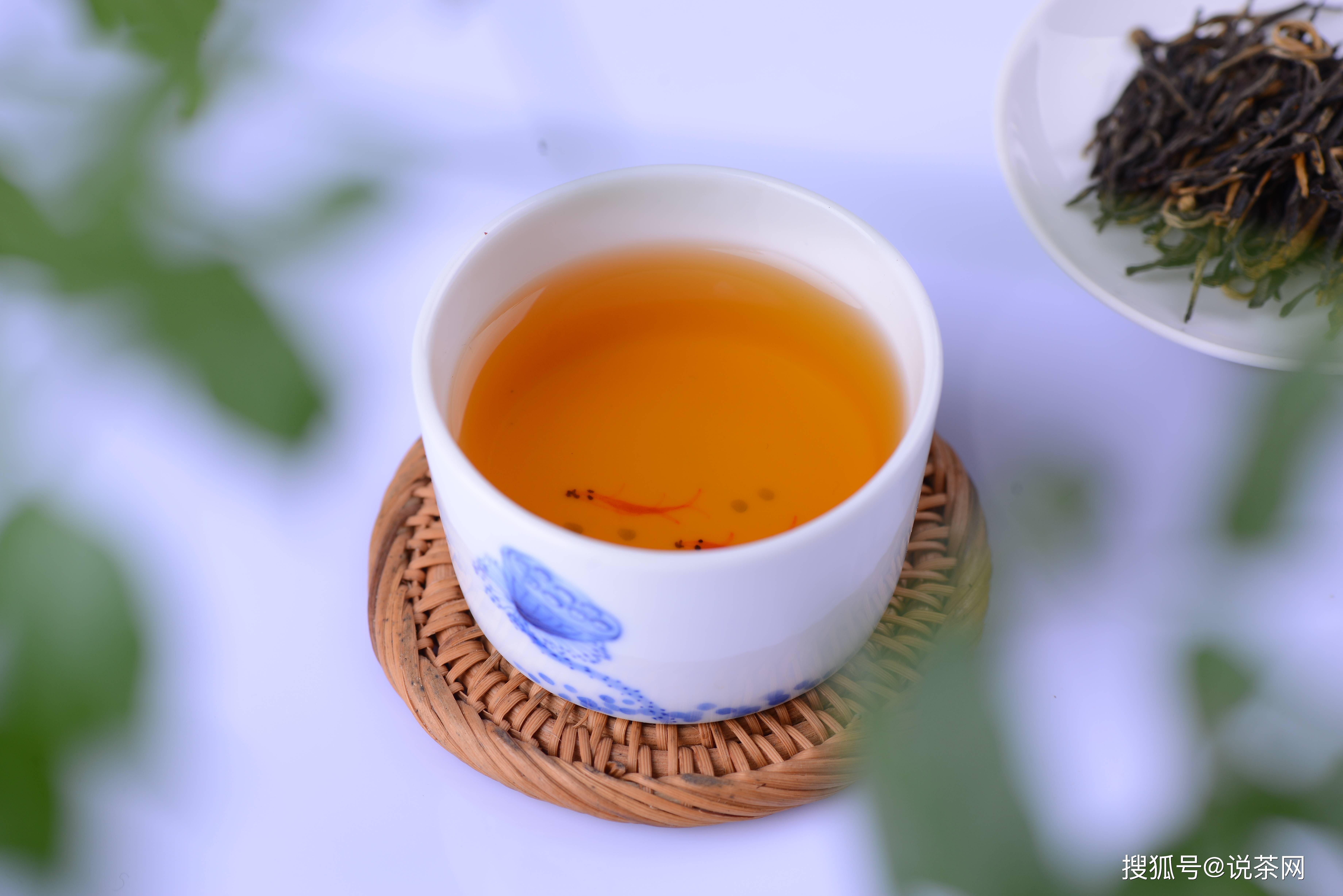 原创喝红茶有什么讲究野生红茶和古树红茶有什么区别