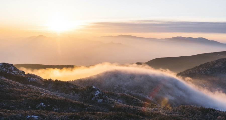 如今家电市场竞争厂商需要三个能力-家电圈官网