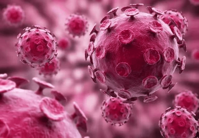 病毒|不小心感染尖锐湿疣了能用什么药治