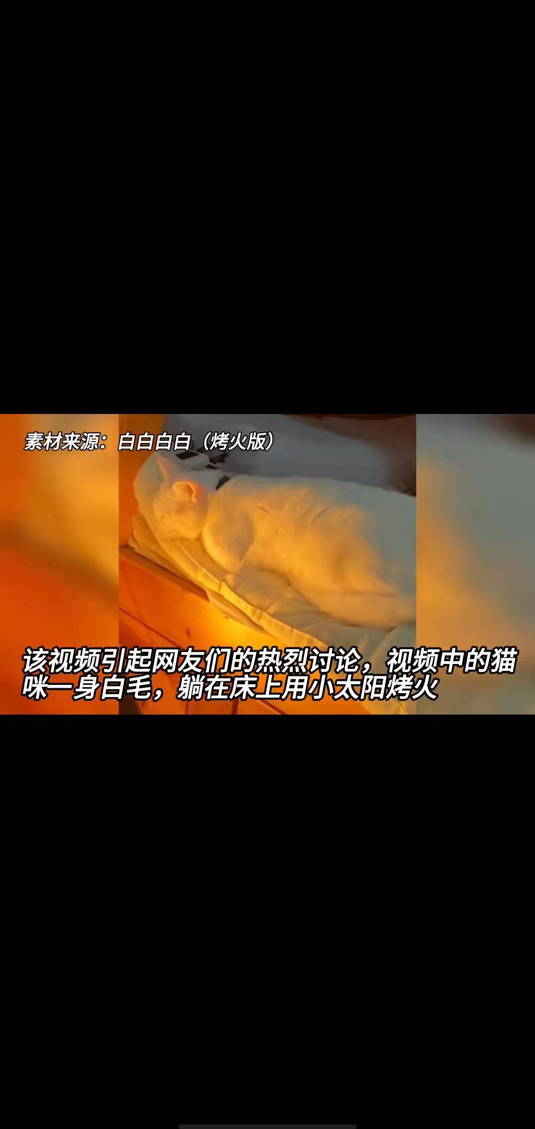 猫咪躺床上用小太阳取暖，时不时扒拉小太阳-搜狐大视野-搜狐新闻