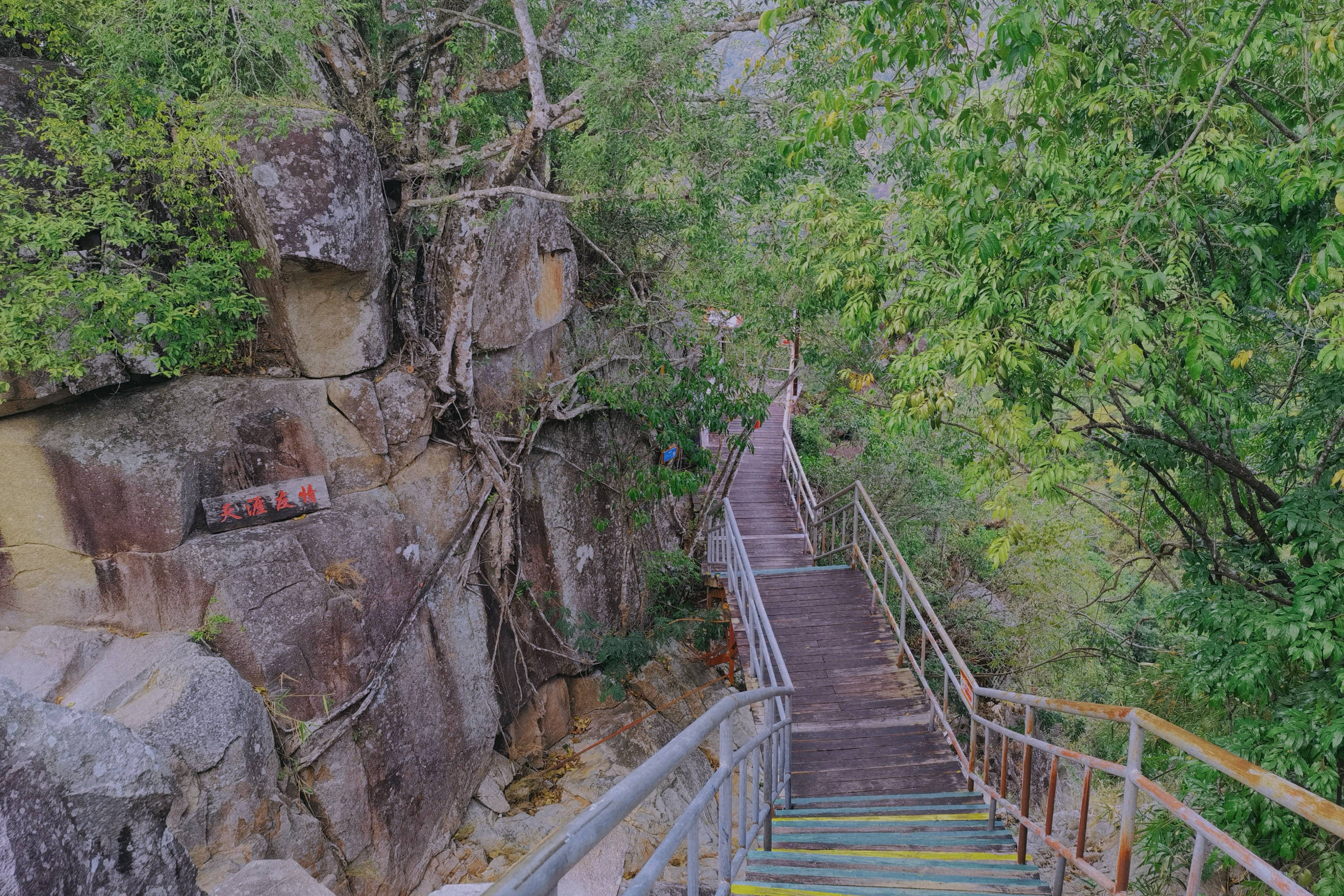 昌江霸王岭一日游图片