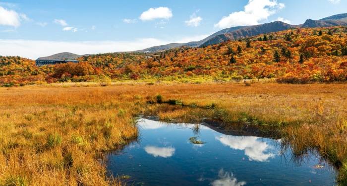 冬奥会来了!彩电出货量创新高,主流企业调结构加速?-家电圈官网