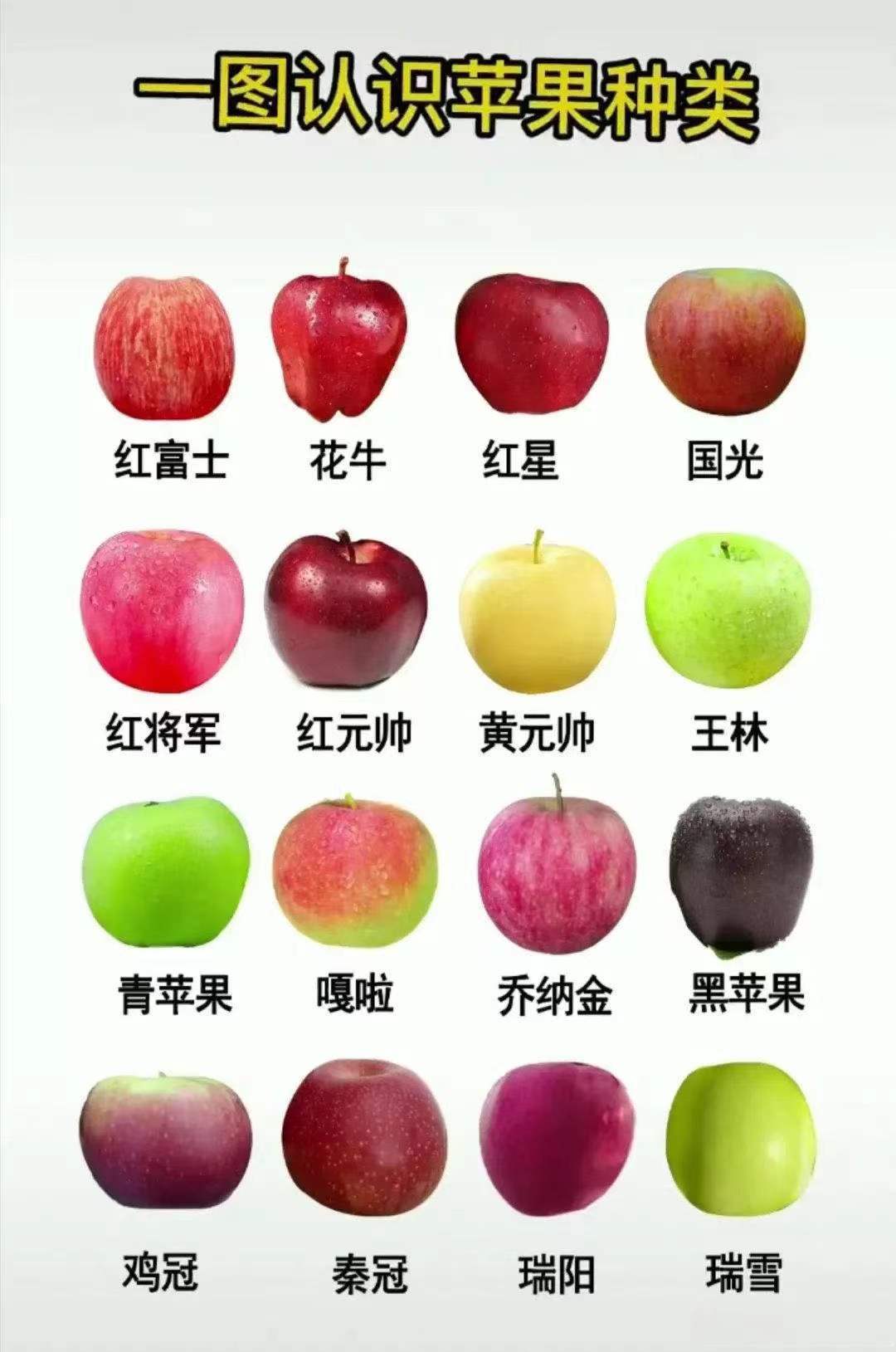 苹果种类 品种图片