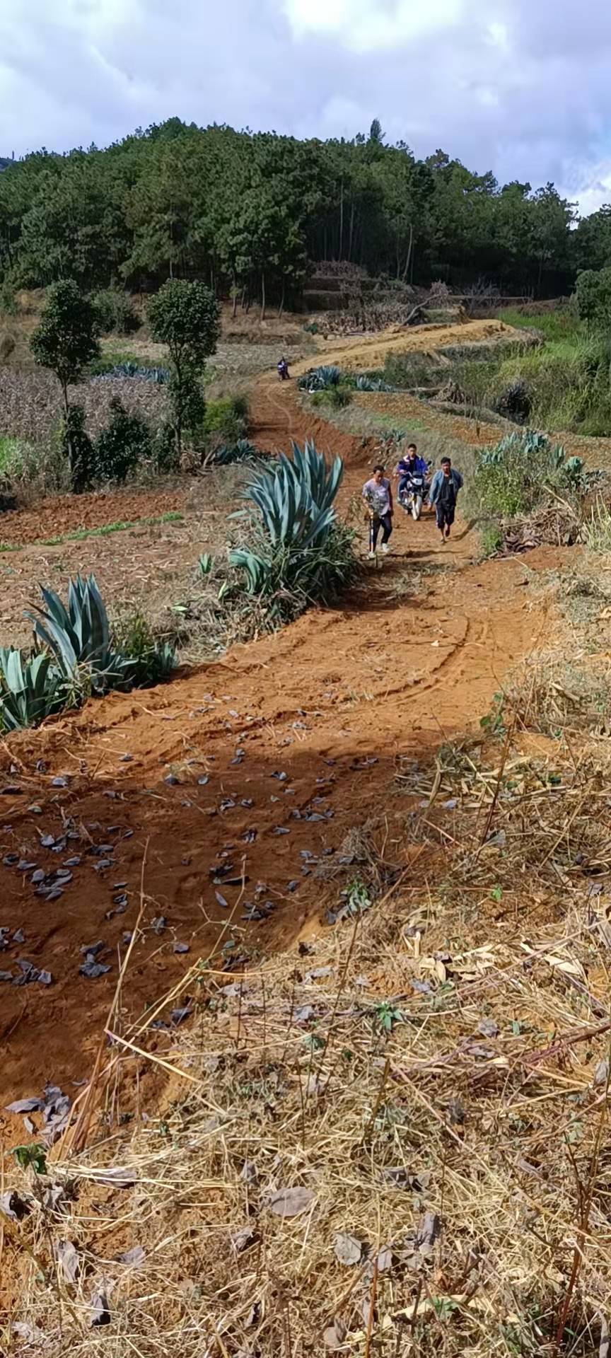 隆阳区西邑乡红土村为民修建机耕路铺好乡村振兴路