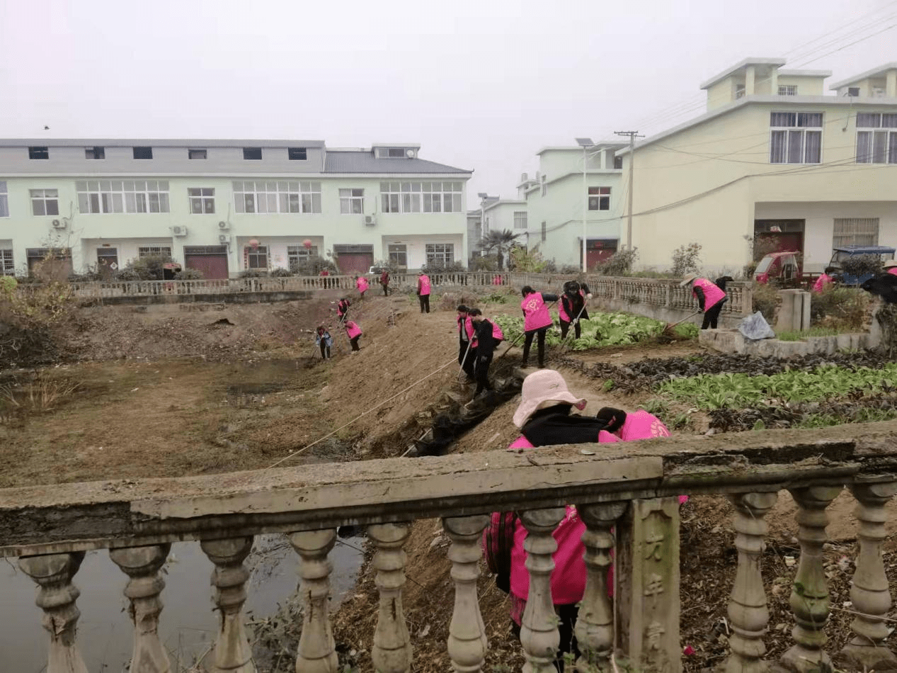 孙铁铺镇江湾村开展农村人居环境集中整治行动