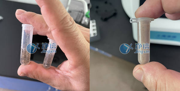 水产虾苗培育|海壹5A种苗选择净信全自动样品研磨仪做虾苗培育