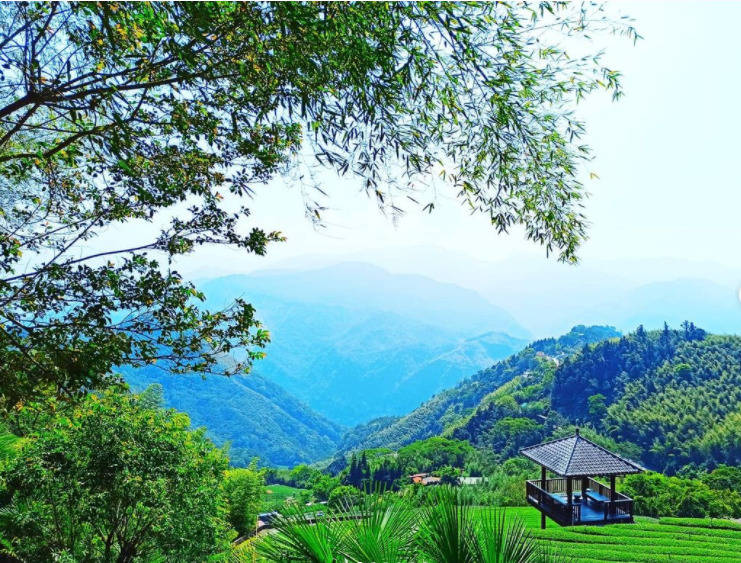 二延平步道嘉義阿里山雲海夕陽高山茶園二延平步道攻略打卡景點