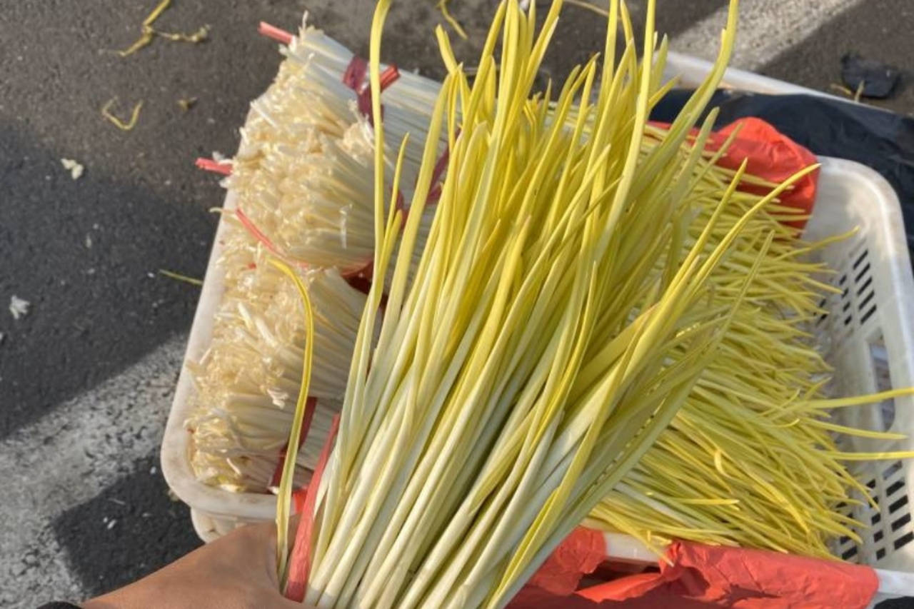 蒜头怎么保存才不会烂 522d9f4108374a0ba23256d3cf329057.jpeg