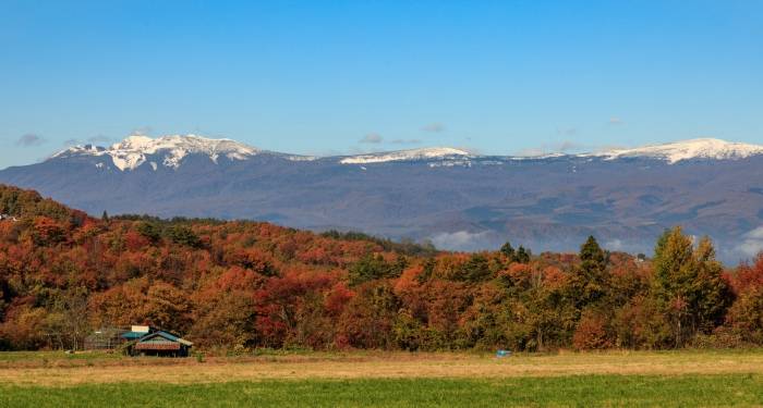 反向定制C2M获政策力挺，家电用户圈层化经营有戏了-家电圈官网