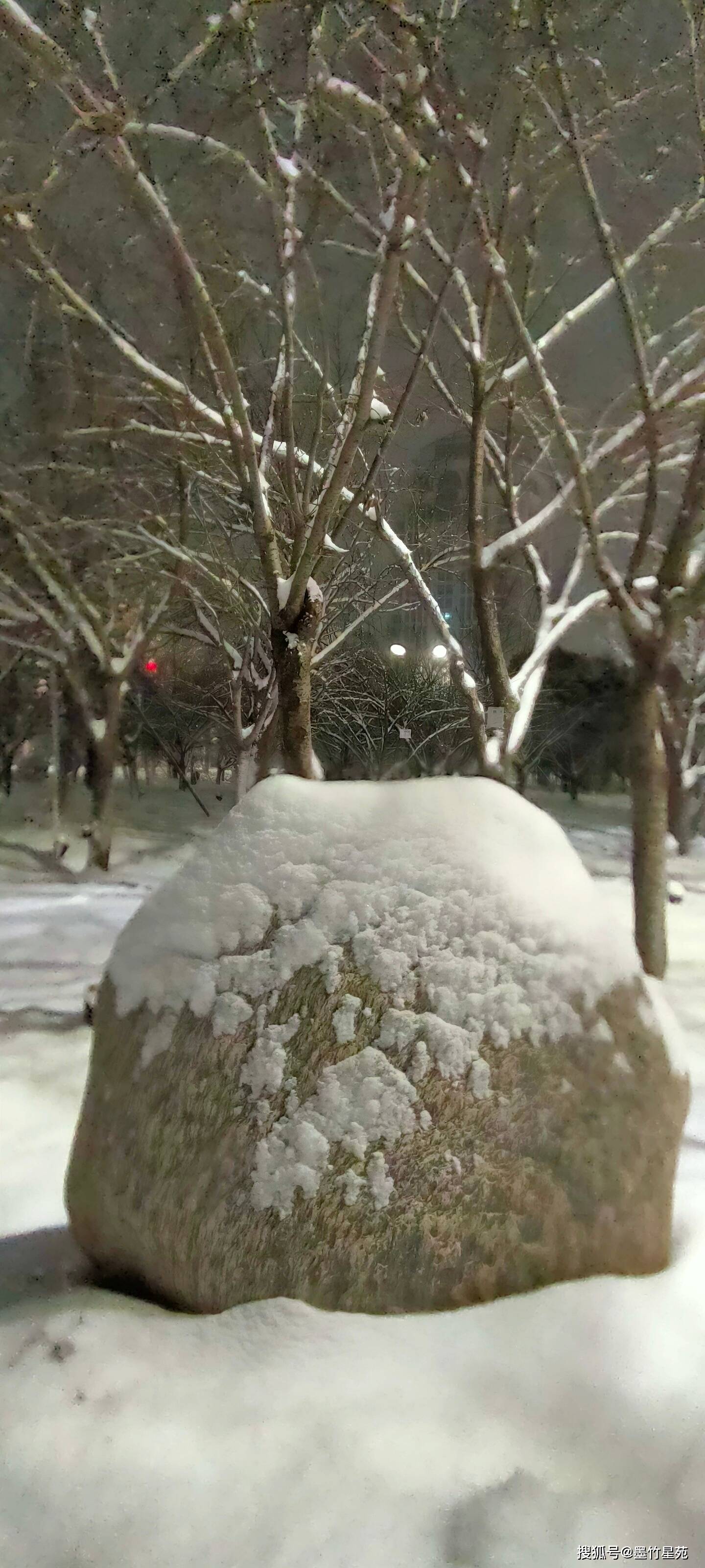 款款深情|【墨竹】多彩的雪