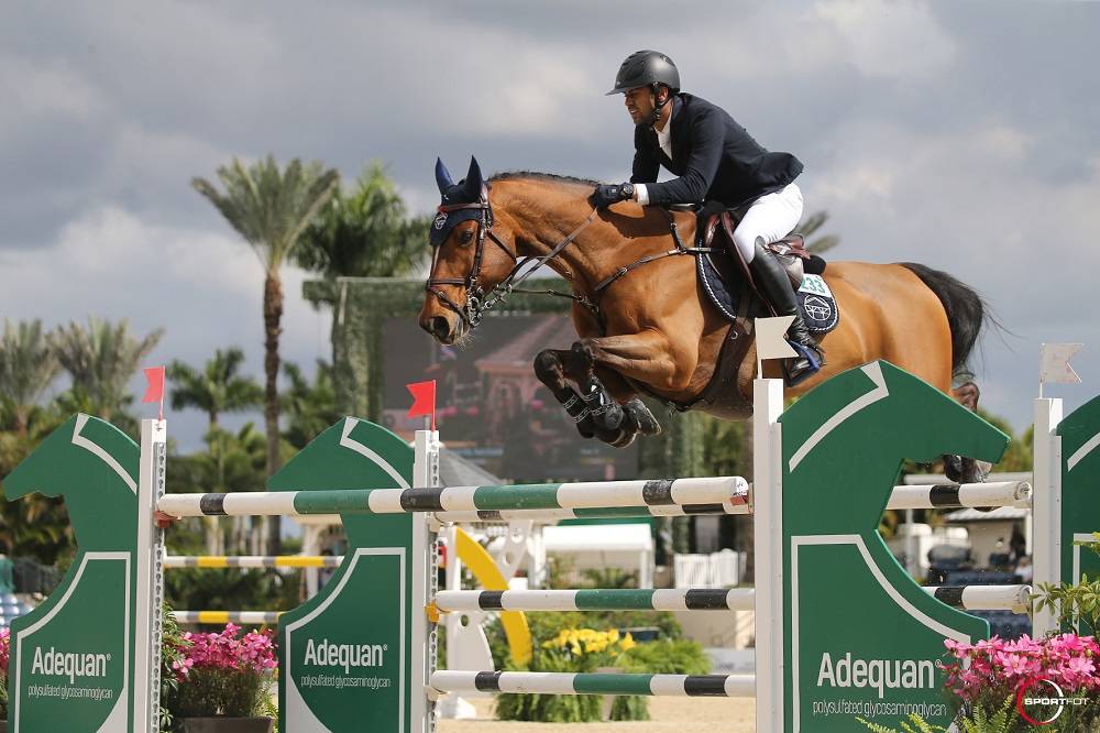 埃及奥运骑手纳耶尔那萨尔称雄冬季马术节四星级挑战者杯