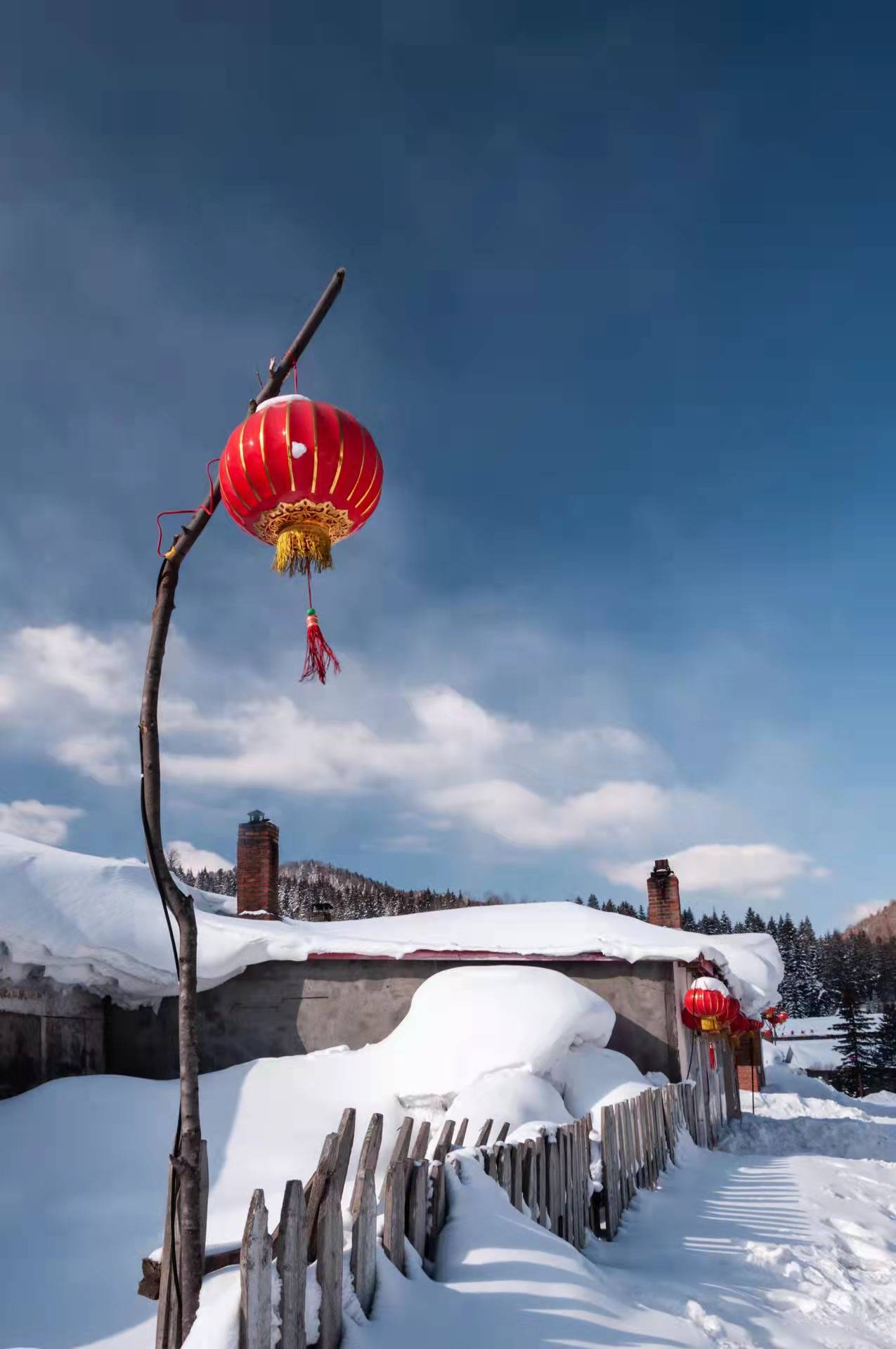 中国雪乡 手机壁纸图片