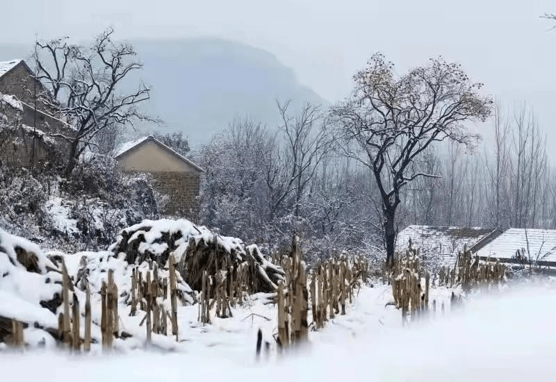 大雪一到 痛风报道 寒冷天气 风友这5大保养重点要牢记 关节 尿酸 患者