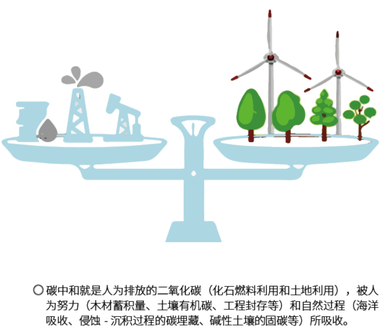 碳先機向未來