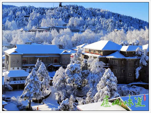 庐山景点排行_庐山天下悠:庐山博物馆隆重推出庐山红色旅游景点推介展(2)