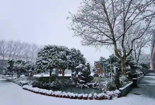 魅力|翟芳诗歌//雪夜抒怀