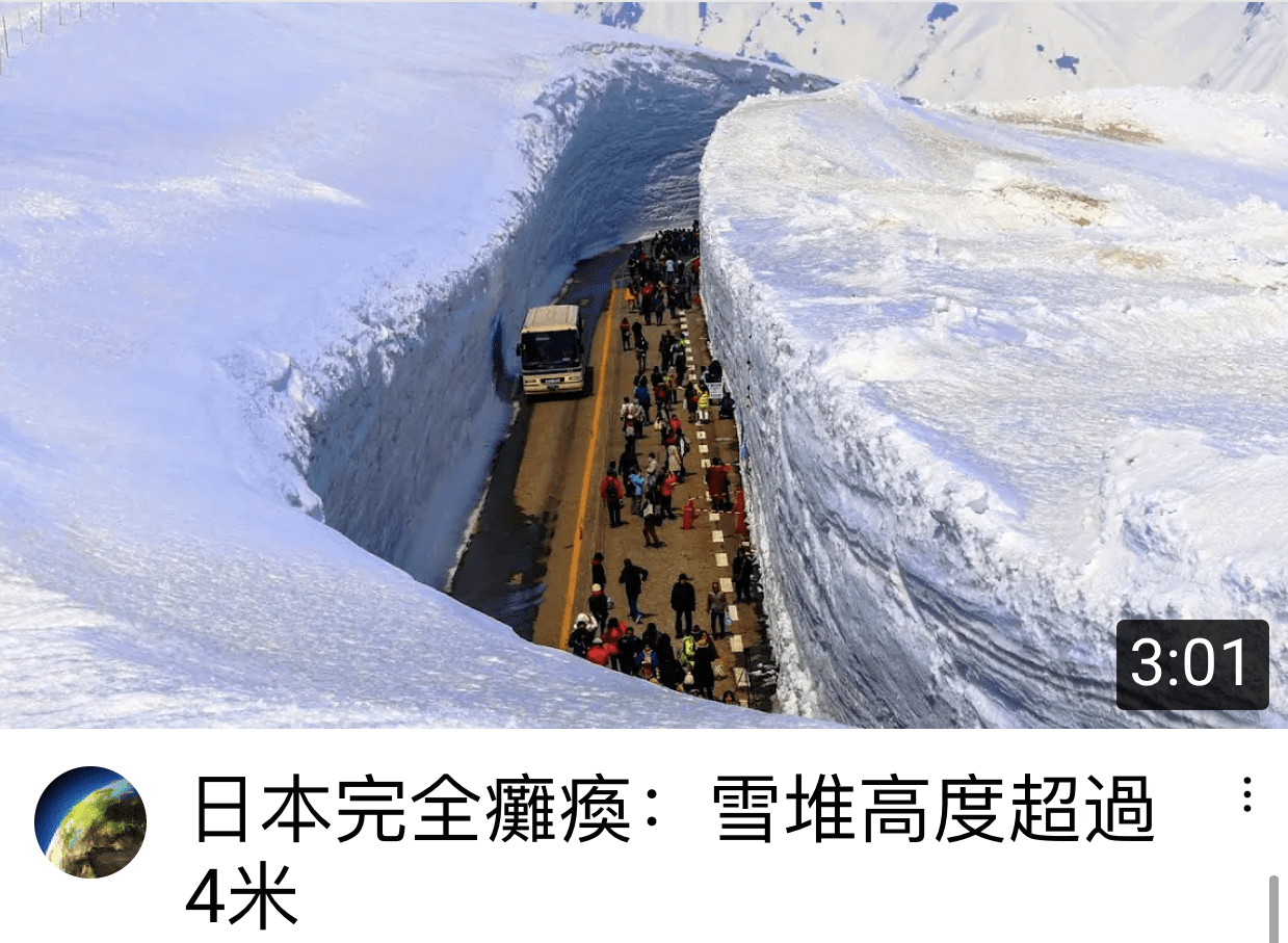 拜登|残酷的雪景，惨兮兮的美感
