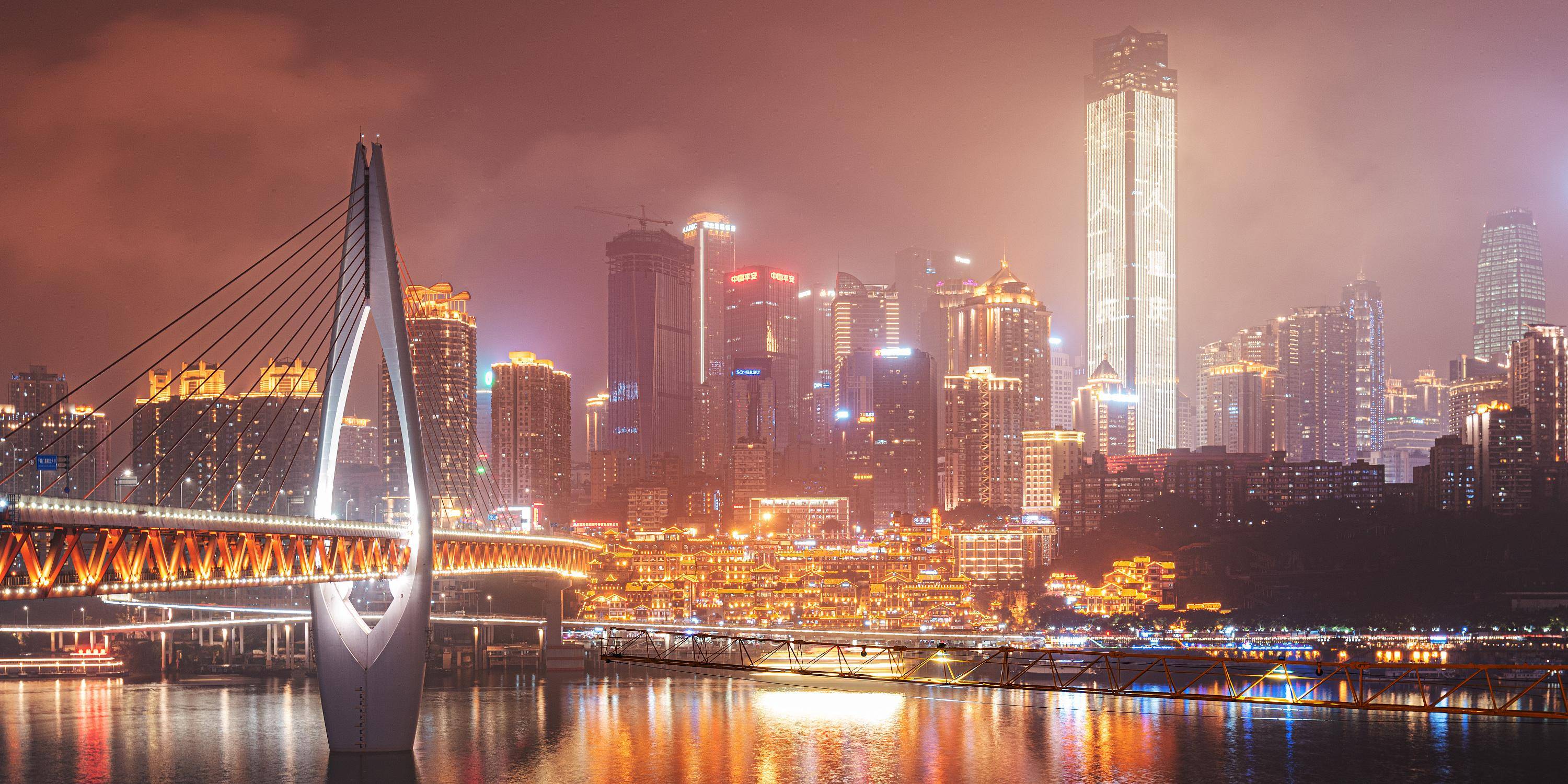 捕鸟蛛毒性排行_在意大利购物需警惕世界上最毒的蜘蛛可能藏在香蕉里