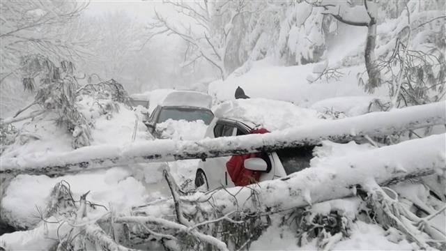 拜登|残酷的雪景，惨兮兮的美感