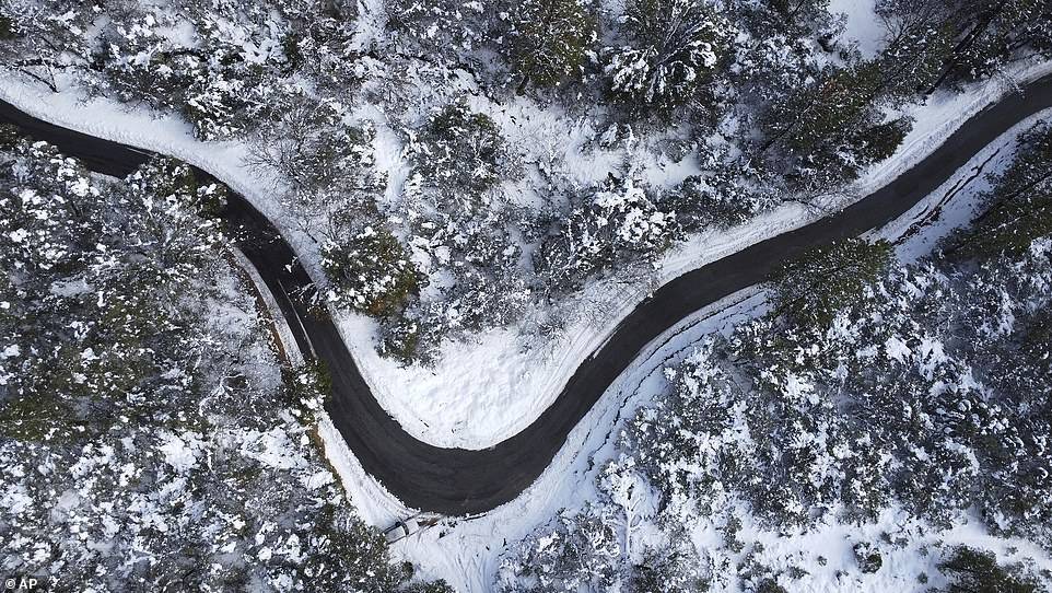 拜登|残酷的雪景，惨兮兮的美感