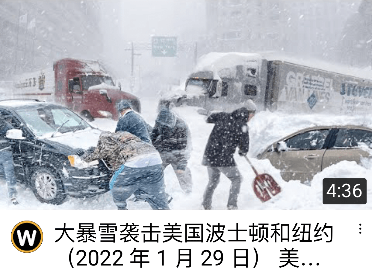 拜登|残酷的雪景，惨兮兮的美感