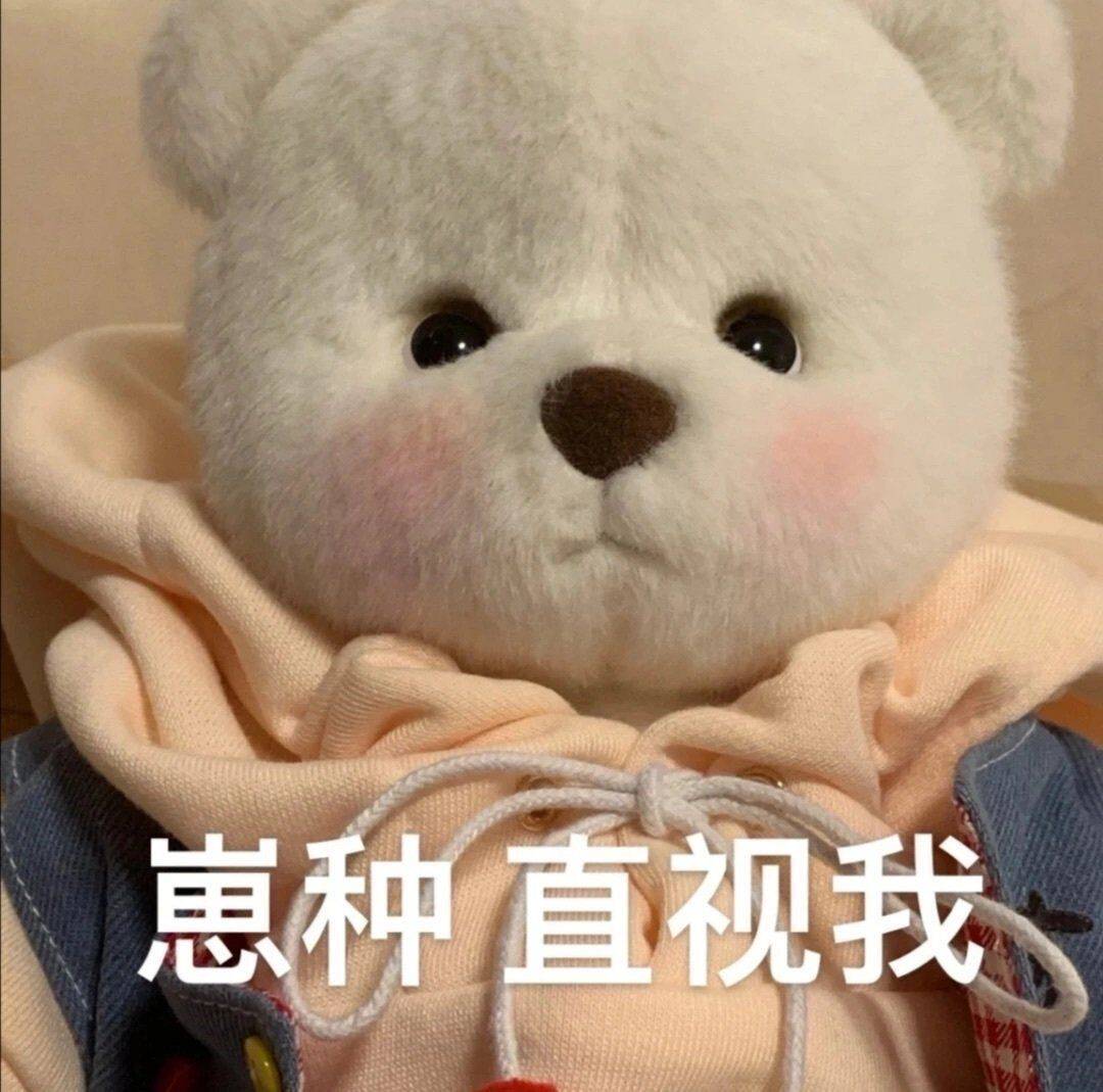 表情包小熊玩具熊表情包