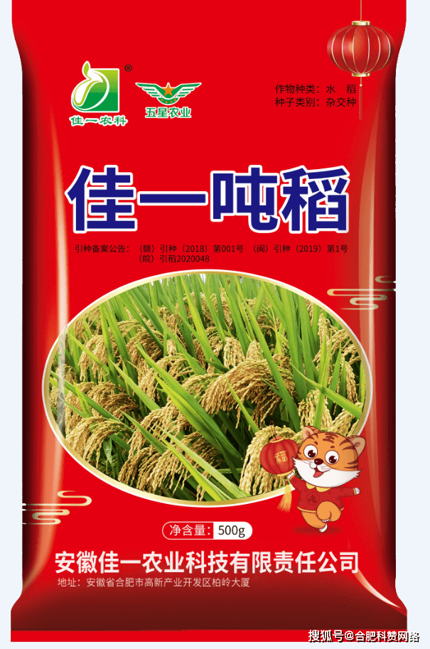 佳一吨稻高产高抗稻直播水稻特征_播种期_品种_密度