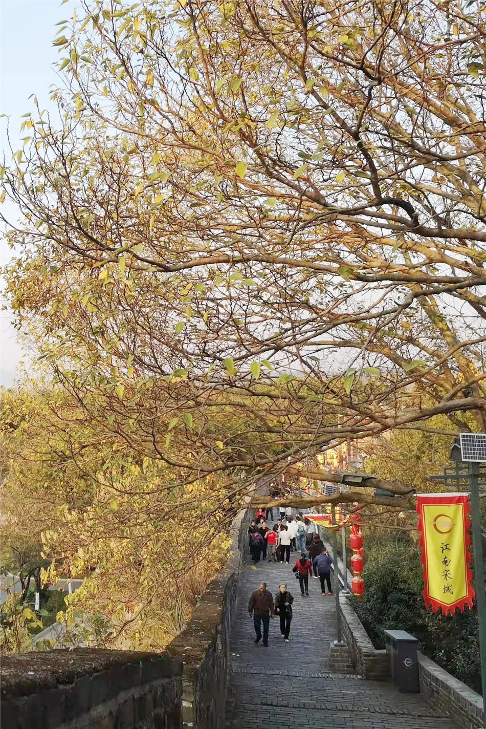 【七律】《秋晨登郁孤台》庄灿煌